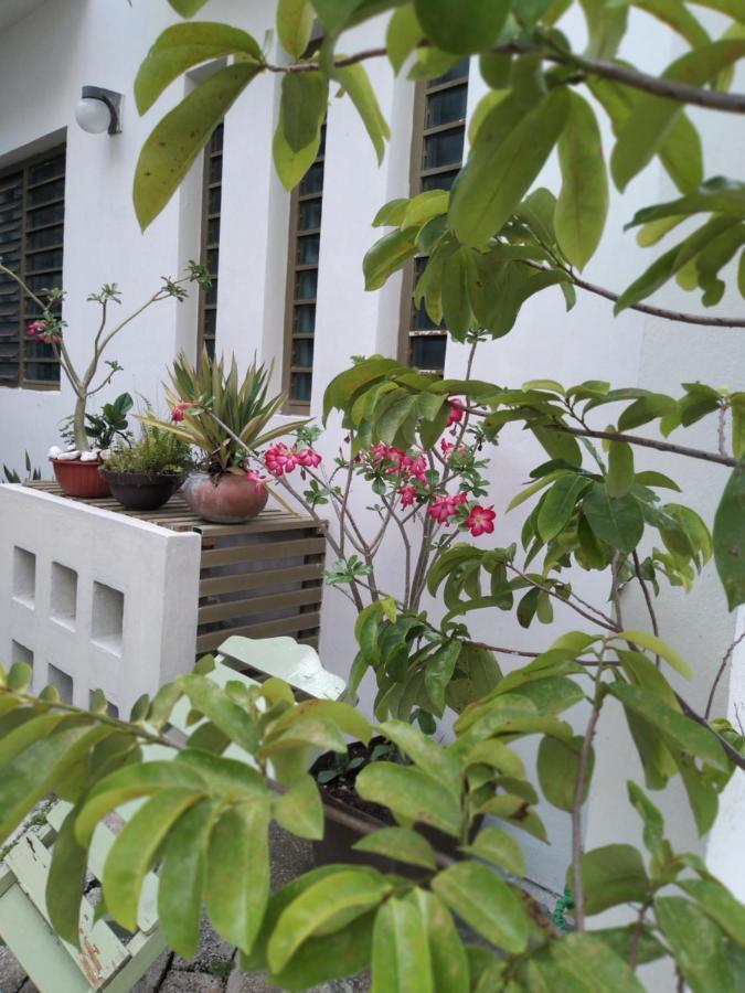 Apartmán Departamentos De La Reina Roja Palenque Exteriér fotografie