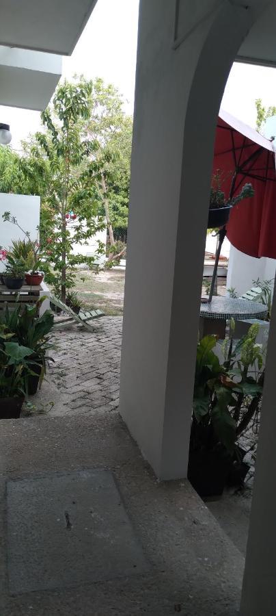 Apartmán Departamentos De La Reina Roja Palenque Exteriér fotografie