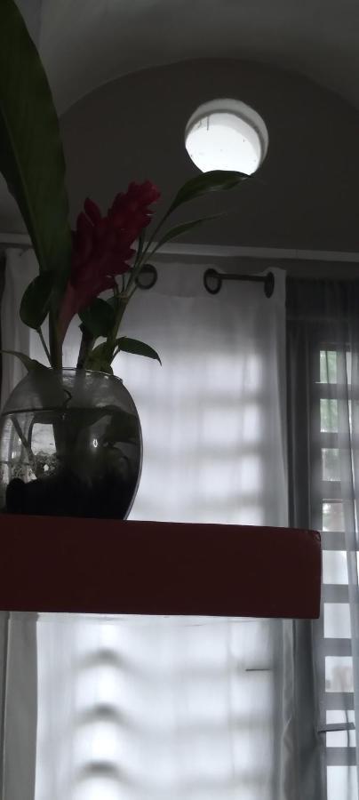 Apartmán Departamentos De La Reina Roja Palenque Exteriér fotografie