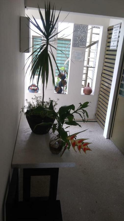 Apartmán Departamentos De La Reina Roja Palenque Exteriér fotografie