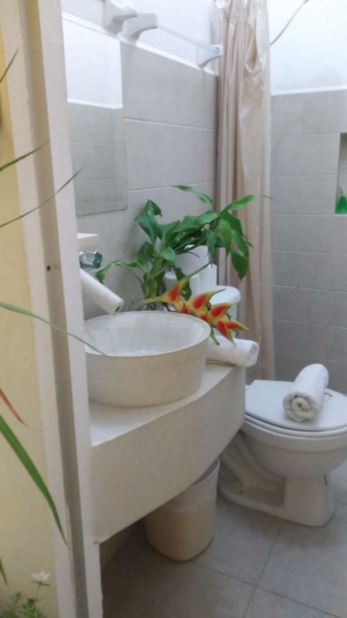 Apartmán Departamentos De La Reina Roja Palenque Exteriér fotografie