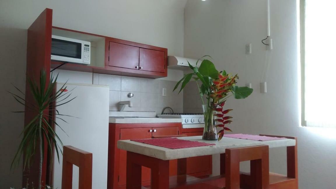 Apartmán Departamentos De La Reina Roja Palenque Exteriér fotografie